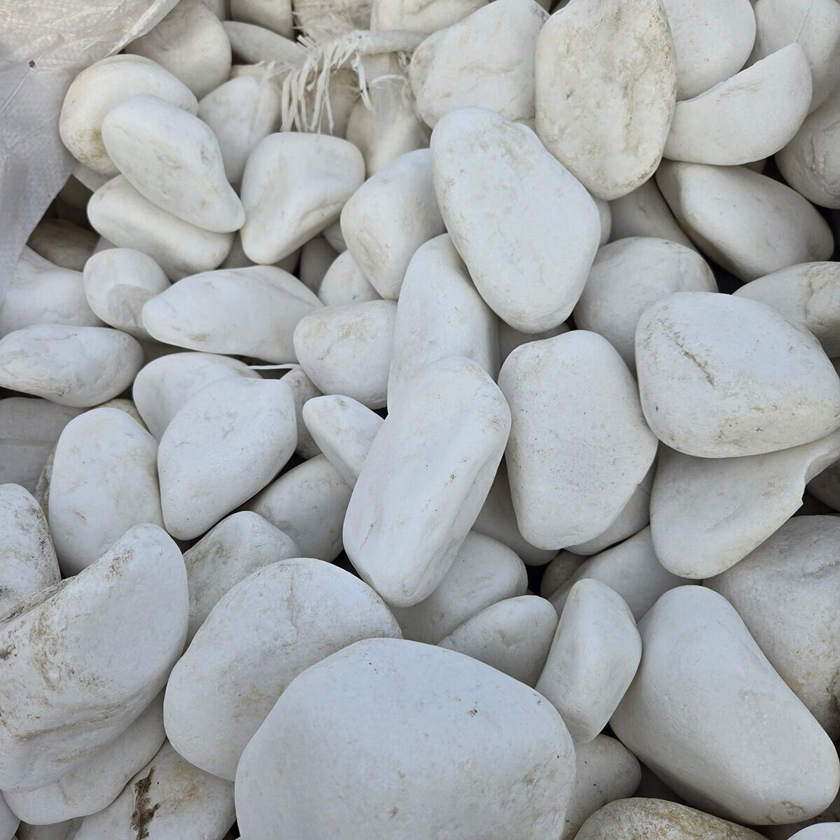 Palletized Snow White Pebbles 2 - 3 in. | SiteOne US