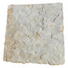 Squared Arkansas Brown Sandstone Snapped Edges 24 in. x 24 in.