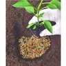 Peat Moss Sphagnum 432 cu. in. Bag