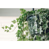Everspring Hanging Basket Drip Pan Clear Vinyl 12 in.