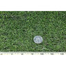 Bermuda Sod Tifway II Bermudagrass (per sq. ft.)