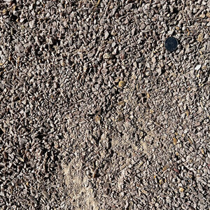 Bulk Champagne 3/8 in. Minus