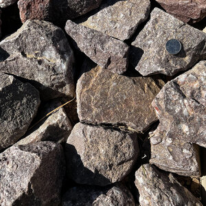 Bulk Desert Plum Rip Rap