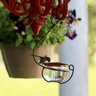 Hanging Hummingbird Feeder Clear Glass 3-3/4 in. x 6 in. x 9 in.