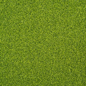 Pioneer Putt Pro 44 oz. Face Weight 0.5 in. Four Seasons/Lime