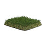 Pioneer Pet Play Synthetic Turf 55 oz. Face Weight 1 in. Field/Apple