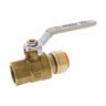 TP-FP-200-LF 1 PUSHxFPT BALL VALVE