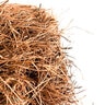 Pine Straw Slash Needle Bale