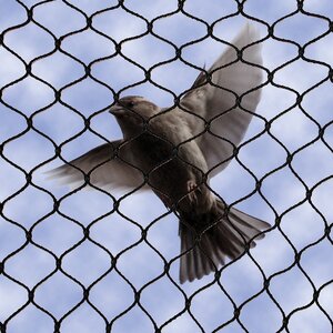  No-Knot Bird Netting 3/4 in. Black Mesh - 25 ft x 50 ft - excludes all birds 
