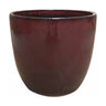 Egg Pot Tropical Red Small 8-3/4 in. x 8-1/4 in.
