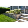 Dimensional Bluestone Select Blue Natural Cleft 1 1/2 in. x 24 in. x 24 in.