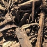 West Valley Mulch Bulk (per cu. yd.)
