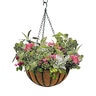 Liberty Hanging Basket w/ Coconut Liner Black 16 in. x 7-1/2 in.