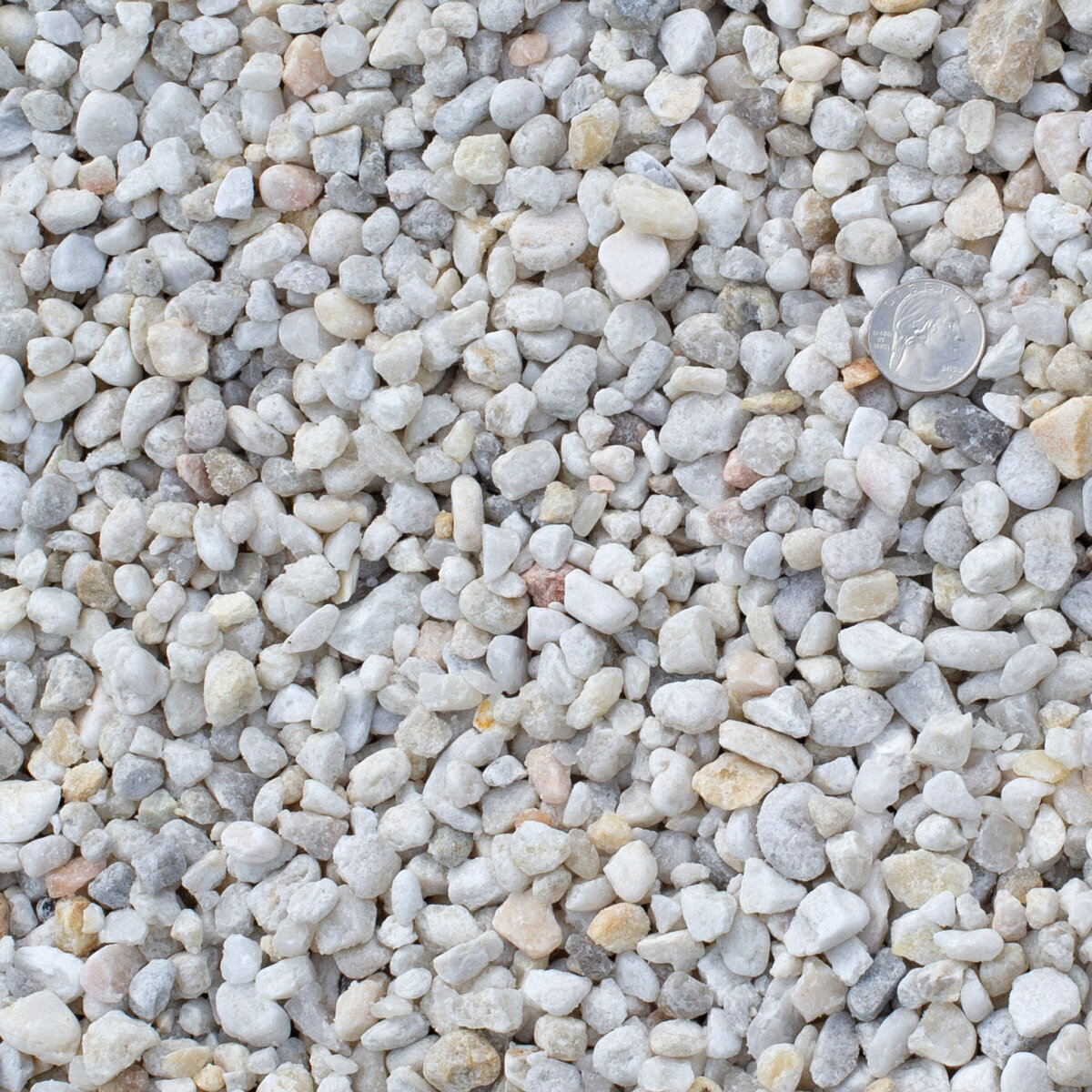 Bulk Carolina White Rock 2 in | SiteOne US
