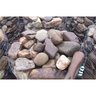 Palletized River Rock South Branch Potomac Cobble 10 - 12 in.
