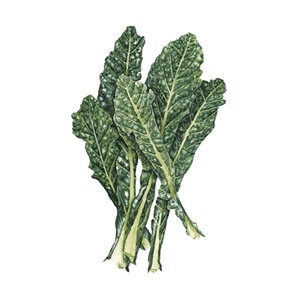 Kale Lacinato Dinosaur Vegetable Seed 1 gm