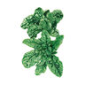 Spinach Vegetable Seed Bloomsdale Organic large packet 10 gm