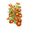 Marigold French Flower Seed Red Metamorph Organic 150 mg