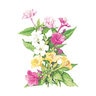 Four O'Clock Marvel of Peru Flower Seed 2 gm