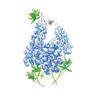 Bluebonnet Flower Seed 2 gm