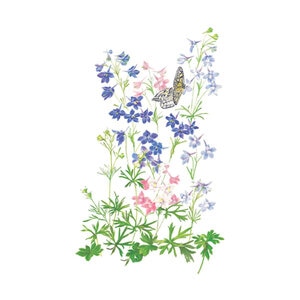 Delphinium Butterfly Blend Flower Seed 200 mg