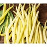 Bean Bush Vegetable Seed Yellow Gold Rush Organic 15 gm