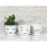 Pot Little Priss w/ Attached Saucer Assorted Designs 5 in. x 4-1/4 in.