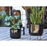 Pacific Planter Lynx Sm Sable Black 10 in. x 10 in. x 9 in.