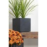 Pacific Planter Cube Fiber Sm Dark Gray 10 in. x 10 in. x 10 in.