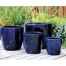 Pacific Planter Fiddle Leaf Tree Sm Royal Blue 10-1/2 in. x 10-1/2 in.