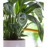 Seed & Sprout Potted Plant Moisture Meter