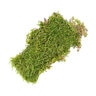 Sheet Moss 325 sq. in. 