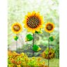 Sunflower Garden Metal Stake