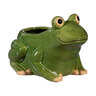 Ceramic Frog Planter