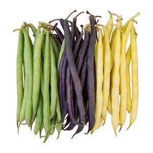 Mardi Gras Bean Blend Vegetable Seed 1 oz. Packet