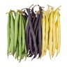 Mardi Gras Bean Blend Vegetable Seed 1 oz. Packet