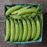 Sweet Gem Sugar Snap Pea Vegetable Seed 1 oz. Packet