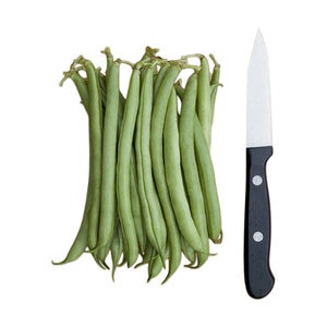 Provider Bush Bean Vegetable Seed 1 oz. Packet