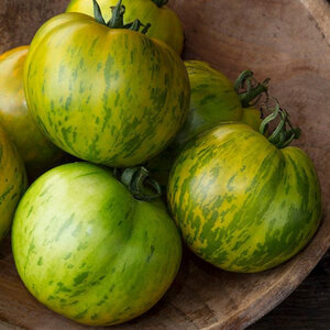 Green Zebra Tomato 1/10 GRAM Seed