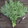White Russian Kale 1/32 oz. Seed