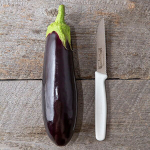 Diamond Eggplant 1/64 oz. Seed