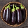 Diamond Eggplant 1/64 oz. Seed