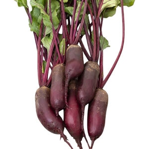 Formanova Beet 1/16 oz. Seed
