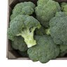Covina F1 Broccoli 25 Seeds   