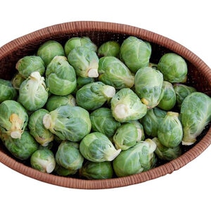 Igor F1 Brussels Sprouts 10 Seeds   