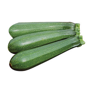 Dark Green Zucchini Vegetable Seed 1/8 oz. Packet