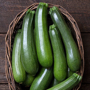 Zucchini Stardust Vegetable Seed 1/8 oz. Packet