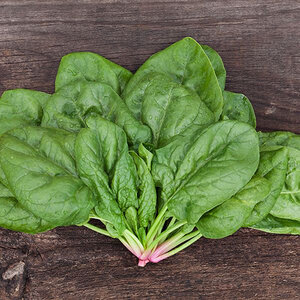 Butterflay Spinach Vegetable Seed 1/4 oz. Packet