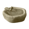 Campania Birdbath Woodland Dragonfly English Moss 11-1/2 in. x 11-1/2 in. x 6-1/2 in.