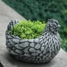 Campania Planter Chicken Alpine Stone 11-1/2 in. x 9-1/2 in. x 8-3/4 in.